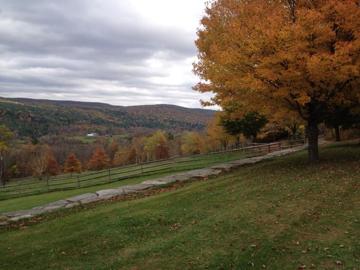 Massachusetts is famed for its colorful foliage — especially Berkshire County — but there’s more to do in this Western Mass. enclave than merely leaf-peep. From savoring seasonal goodies like apple-pie ice cream to navigating forest adventure trails or a corn maze, here’s how you can experience the treetops and not just admire them while driving by. 
